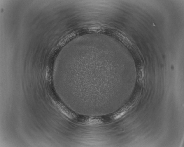 X0000087670270200705181712