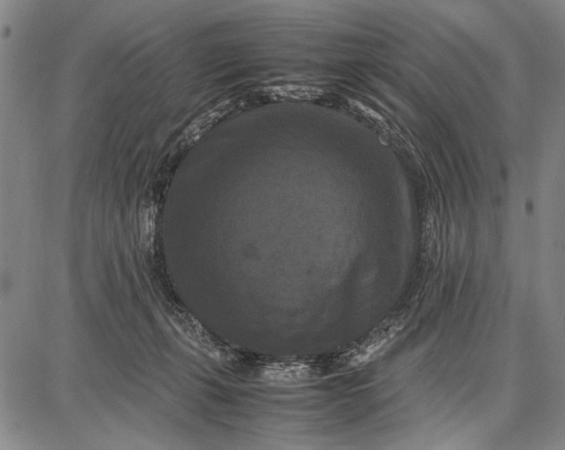 X0000087670271200705181712