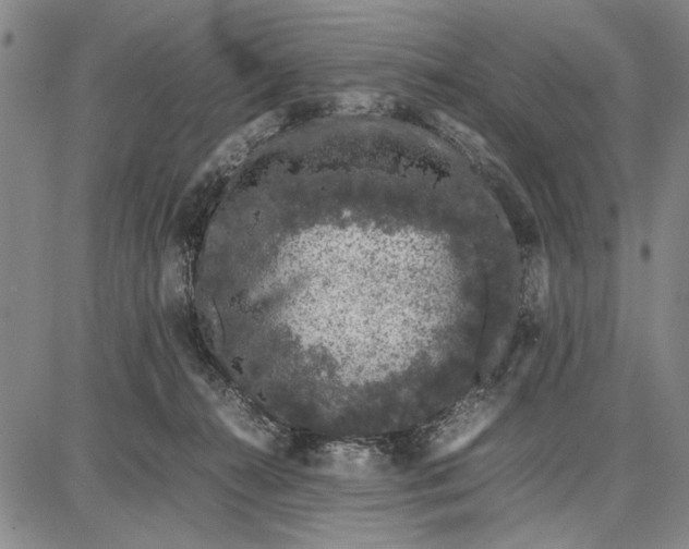 X0000087670272200705181712