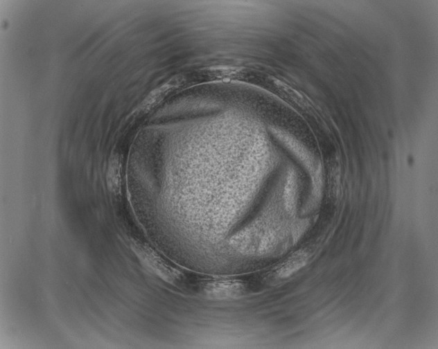 X0000087670274200705181712