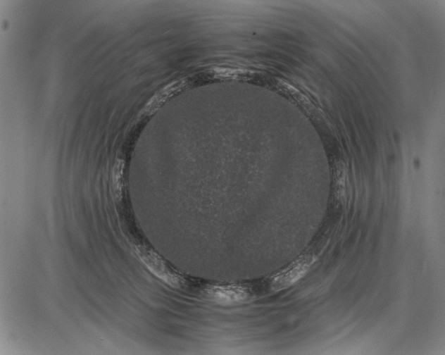 X0000087670275200705181712