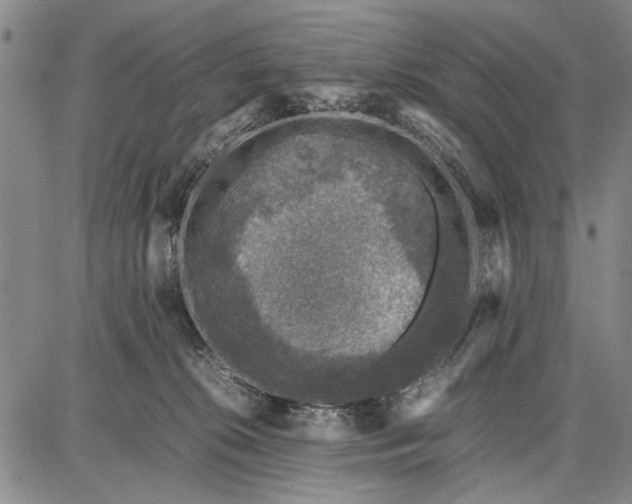 X0000087670276200705181712