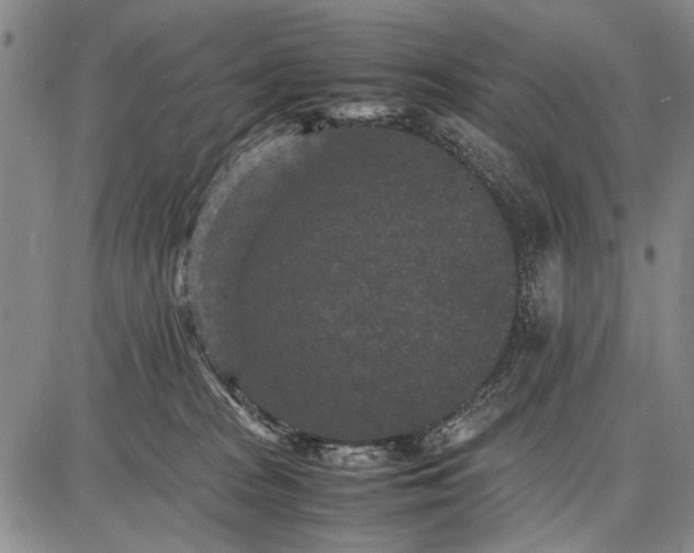 X0000087670277200705181712