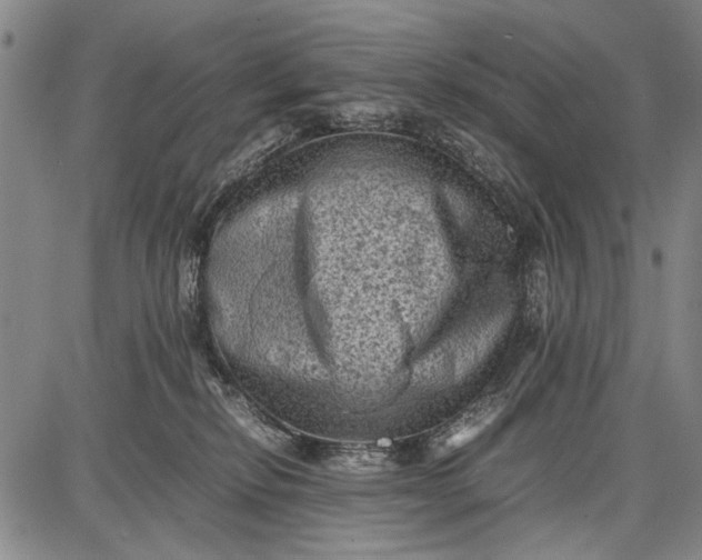 X0000087670278200705181712