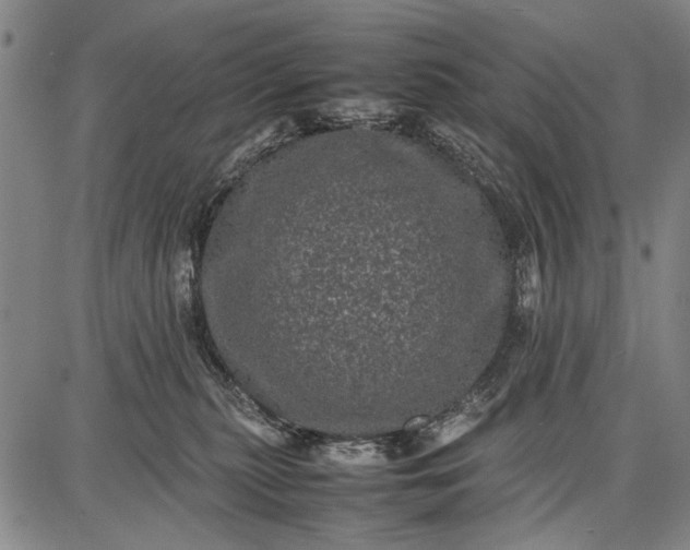 X0000087670279200705181712