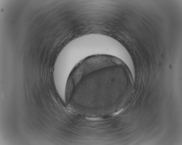 X0000087670280200705181712