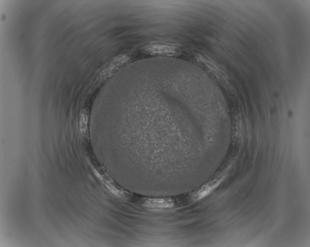 X0000087670281200705181712