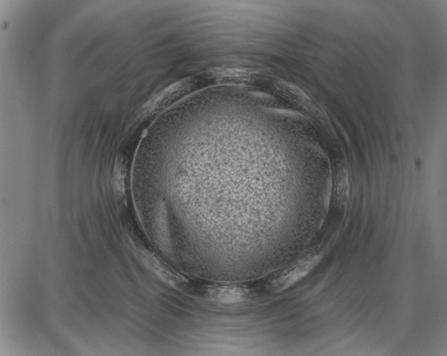 X0000087670282200705181712