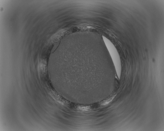 X0000087670283200705181712