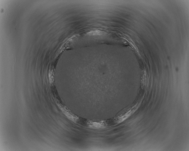 X0000087670285200705181712