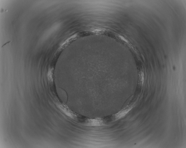 X0000087670286200705181712