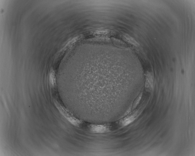 X0000087670287200705181712