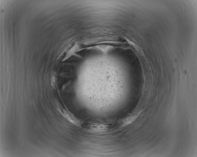 X0000087670288200705181712