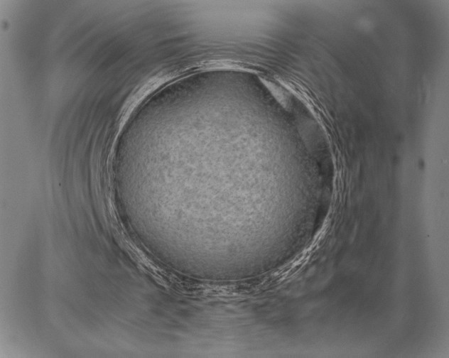 X0000087670289200705181711