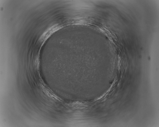 X0000087670290200705181711