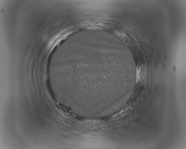 X0000087670291200705181711