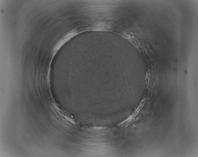 X0000087670292200705181711