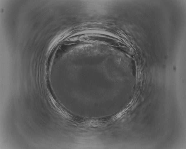 X0000087670293200705181711