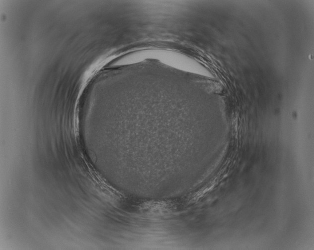 X0000087670294200705181711