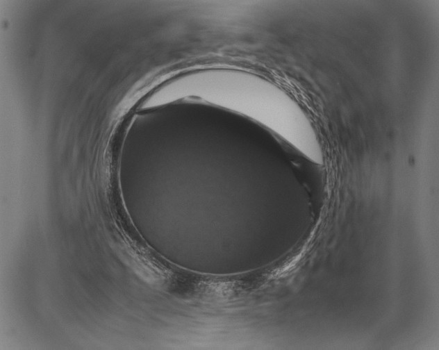 X0000087670295200705181711