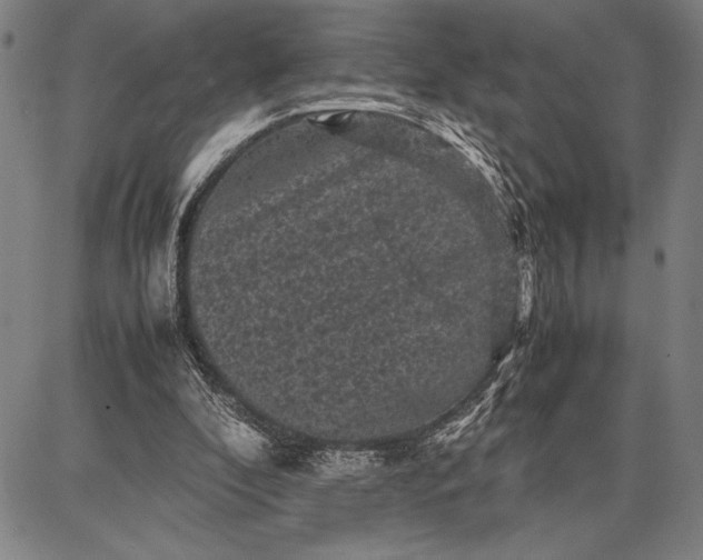 X0000087670296200705181711