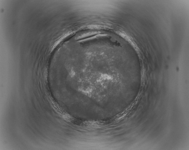 X0000087670297200705181711