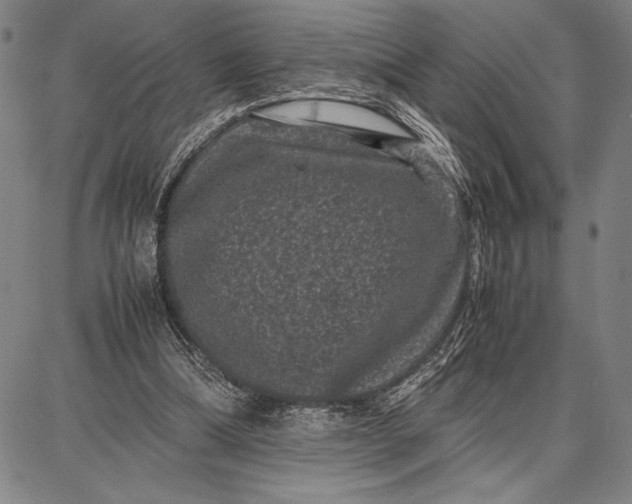 X0000087670298200705181711