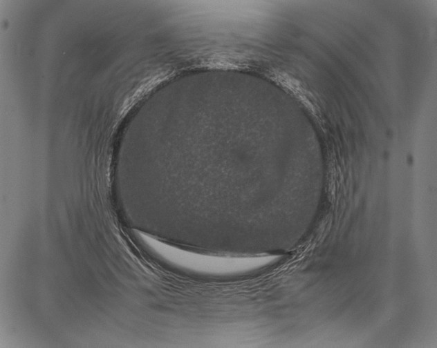 X0000087670299200705181711