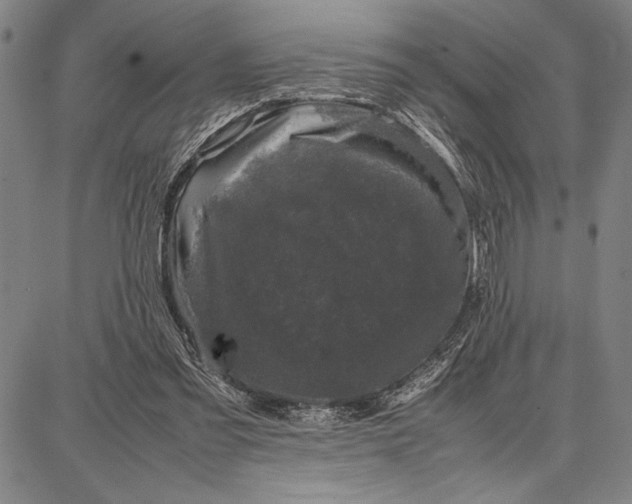 X0000087670301200705181711