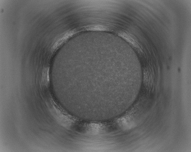 X0000087670302200705181711