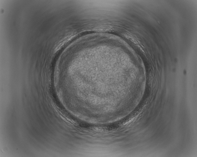 X0000087670303200705181711