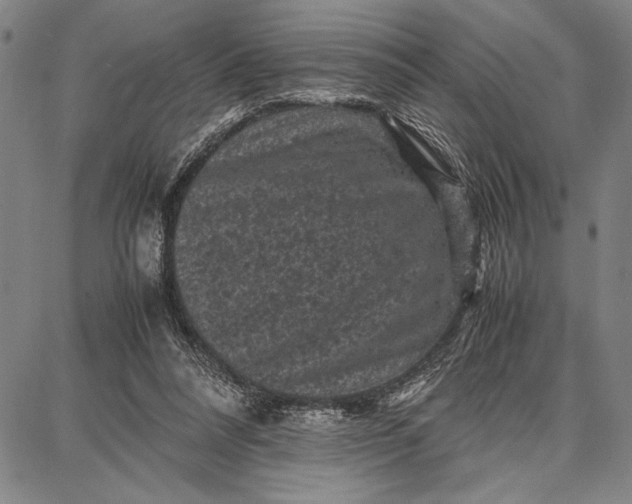 X0000087670304200705181711