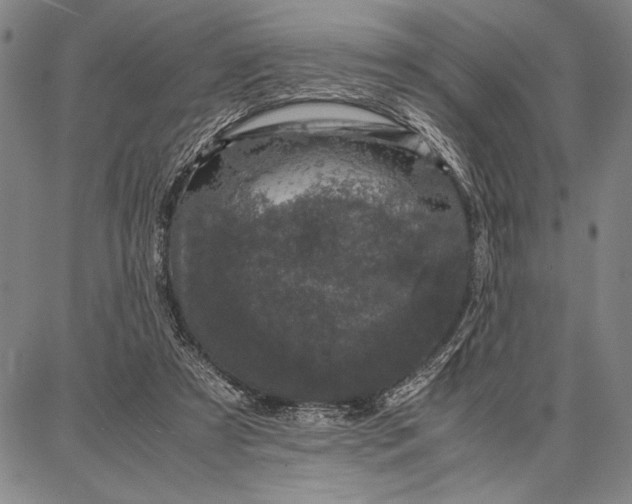 X0000087670305200705181711