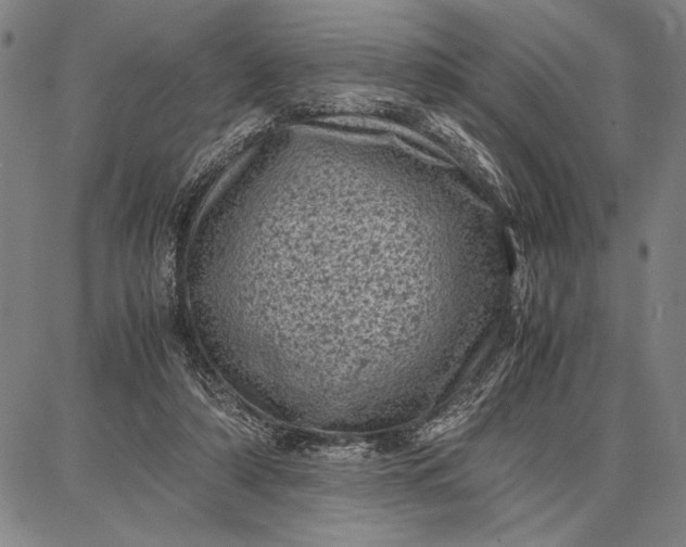 X0000087670306200705181711