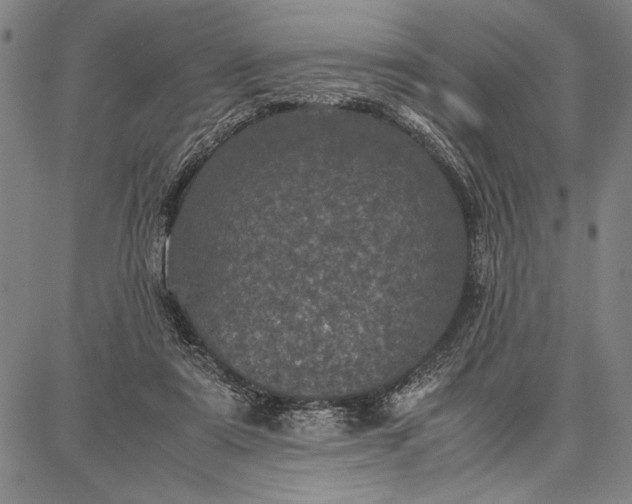 X0000087670307200705181711