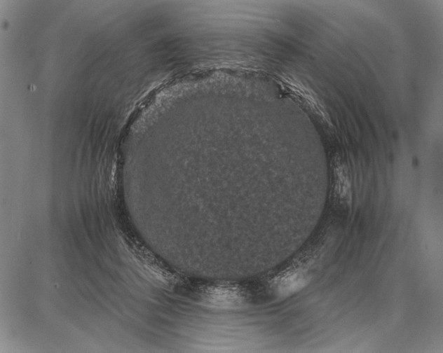 X0000087670308200705181711