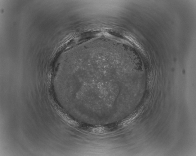 X0000087670309200705181711