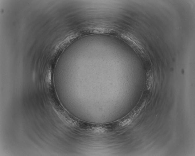 X0000087670310200705181711