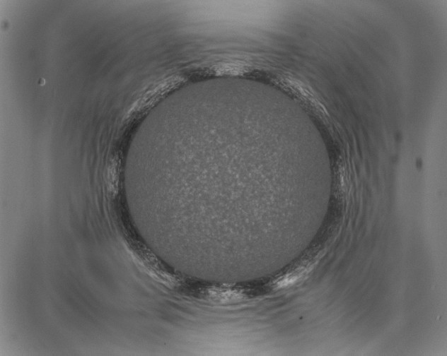 X0000087670311200705181711