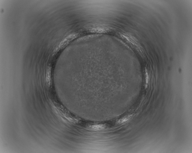 X0000087670312200705181711