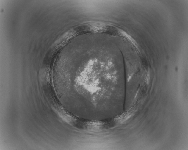 X0000087670313200705181711