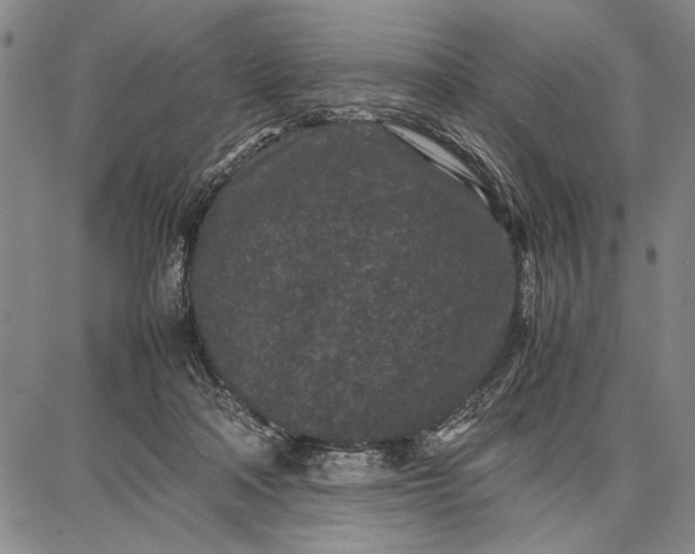 X0000087670314200705181711