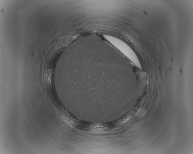 X0000087670315200705181711