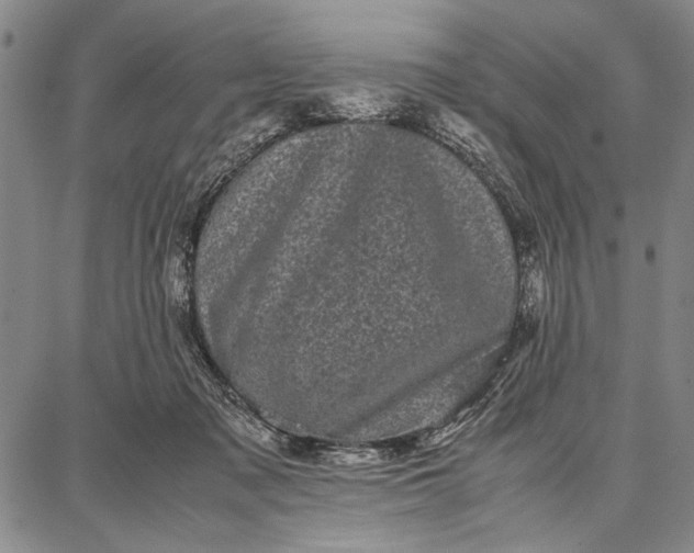 X0000087670317200705181711