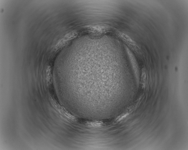 X0000087670318200705181711