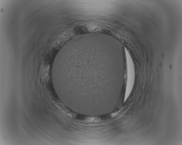 X0000087670319200705181711