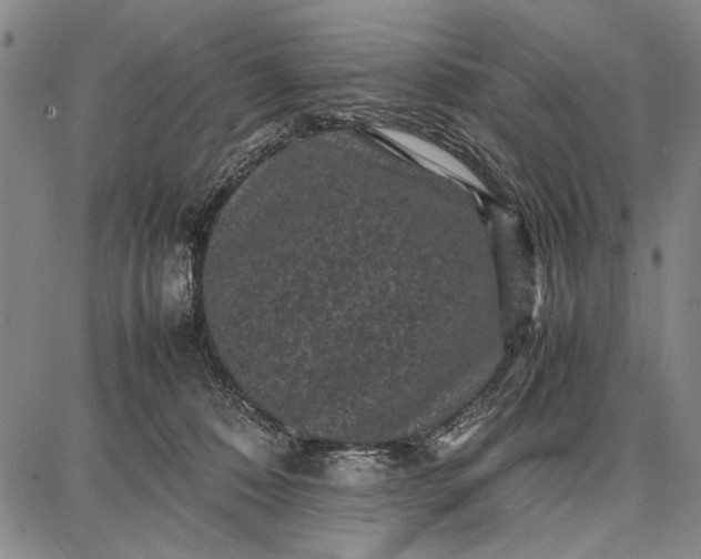 X0000087670320200705181711