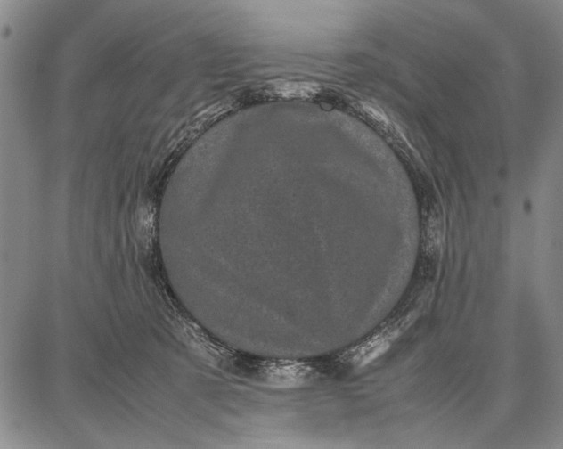 X0000087670321200705181711