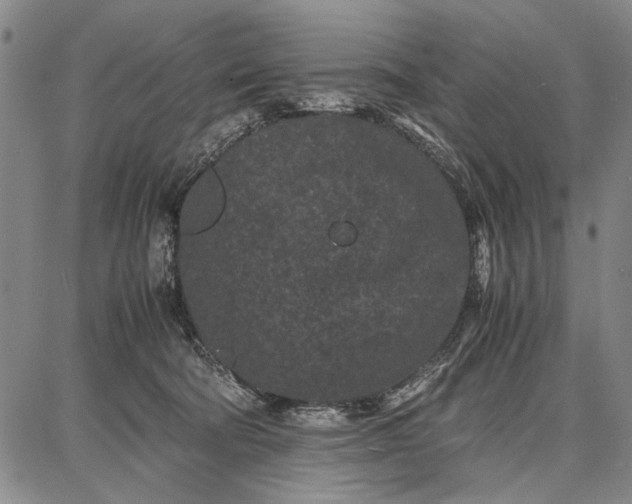 X0000087670322200705181711