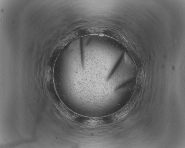 X0000087670323200705181711